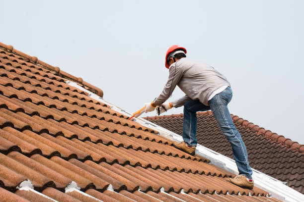Best Roof Coating and Sealing  in Arlington, TN